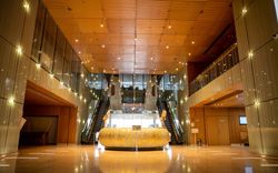 Lighting for Museums and Galleries